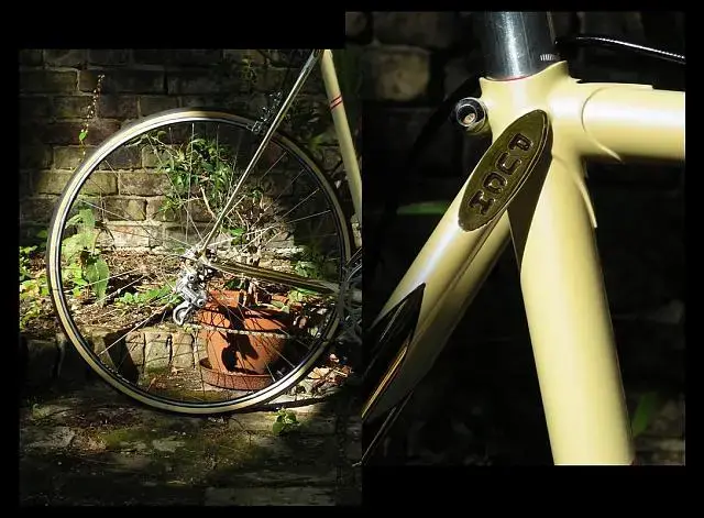 Puch Ultima Goldmana3.webp