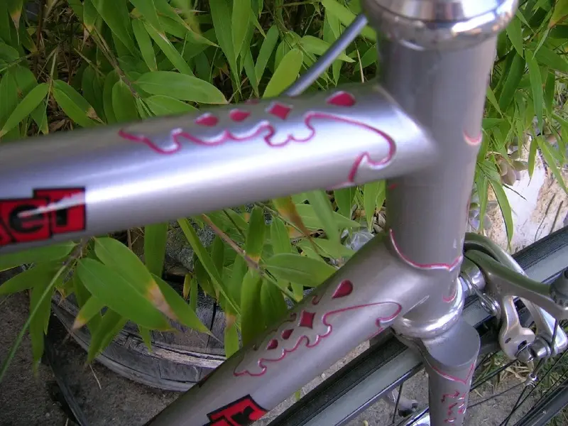 fixie_6.webp