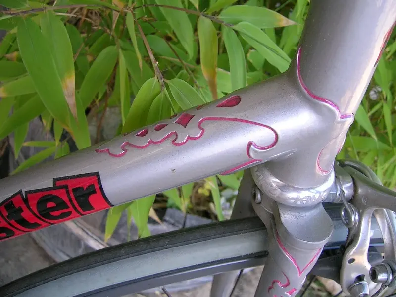 fixie_7.webp
