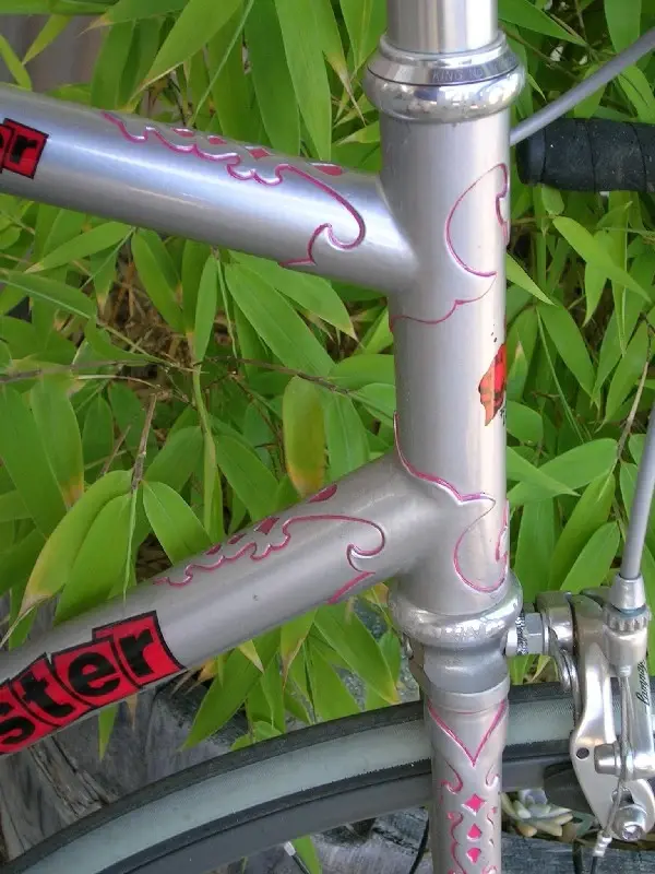 fixie_8.webp