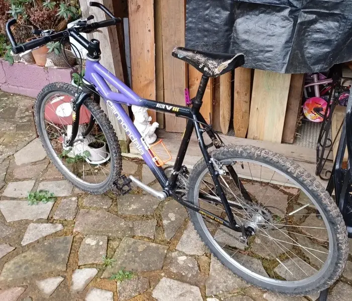 Cannondale DeltaV900