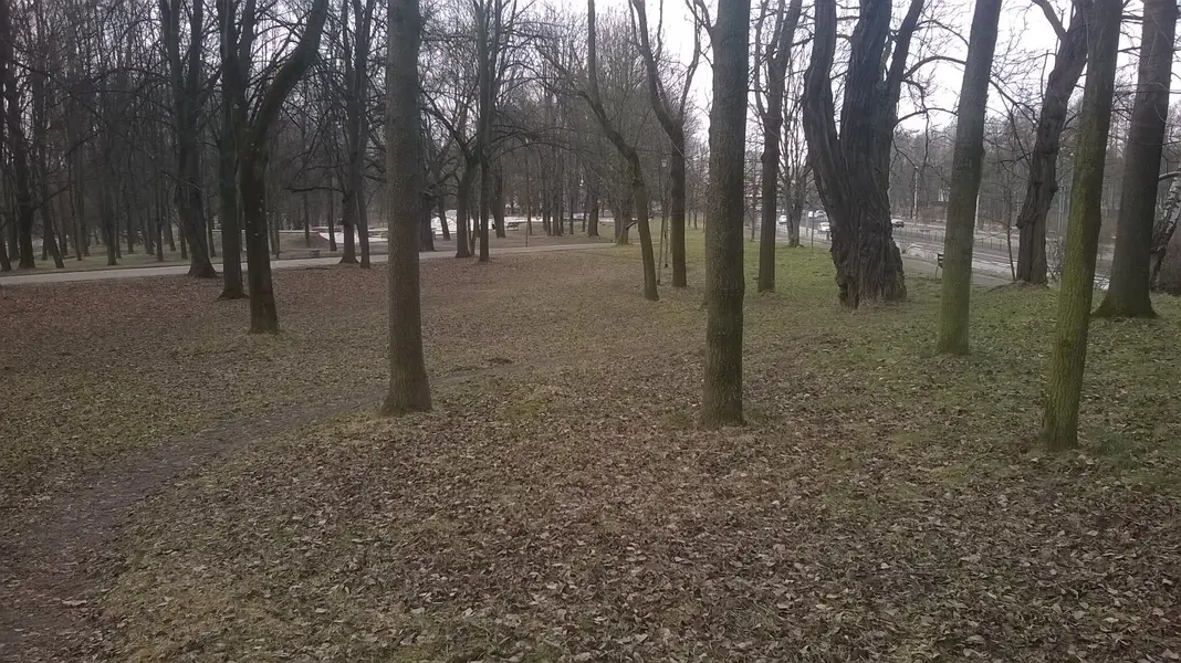 WP_20250201_019.jpg