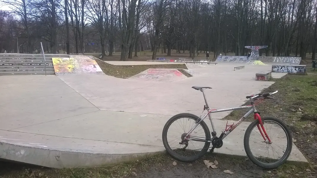 WP_20250201_021.jpg