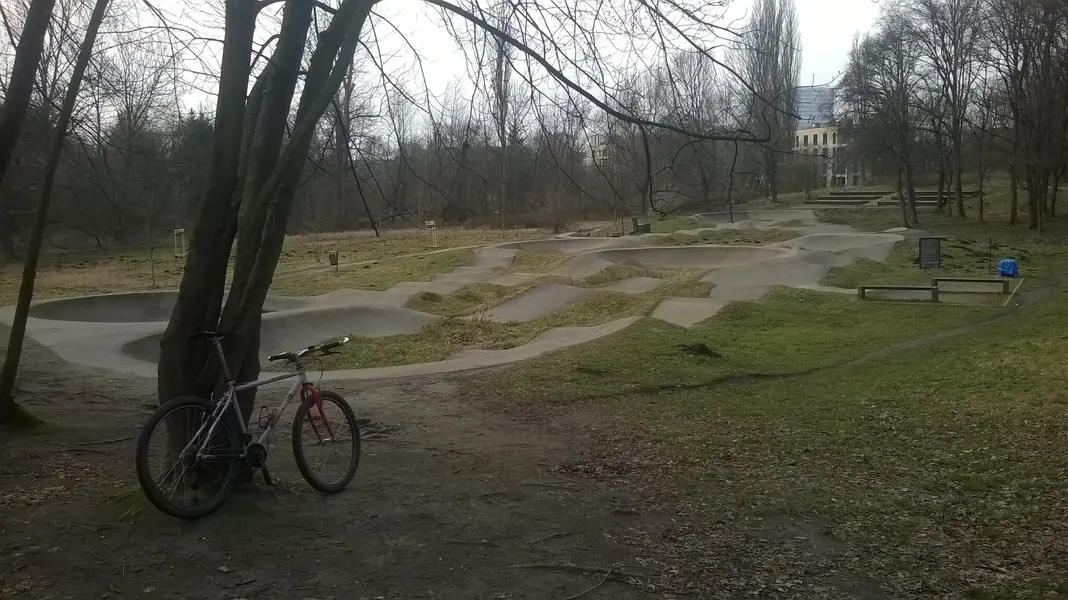 WP_20250201_024.jpg
