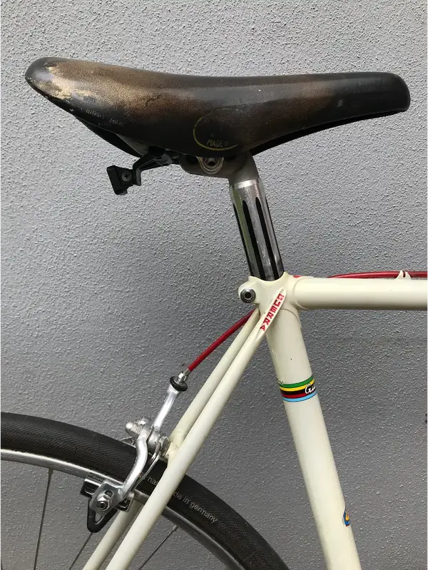 Saddle.webp