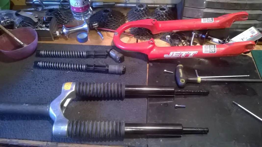 WP_20250210_086.jpg