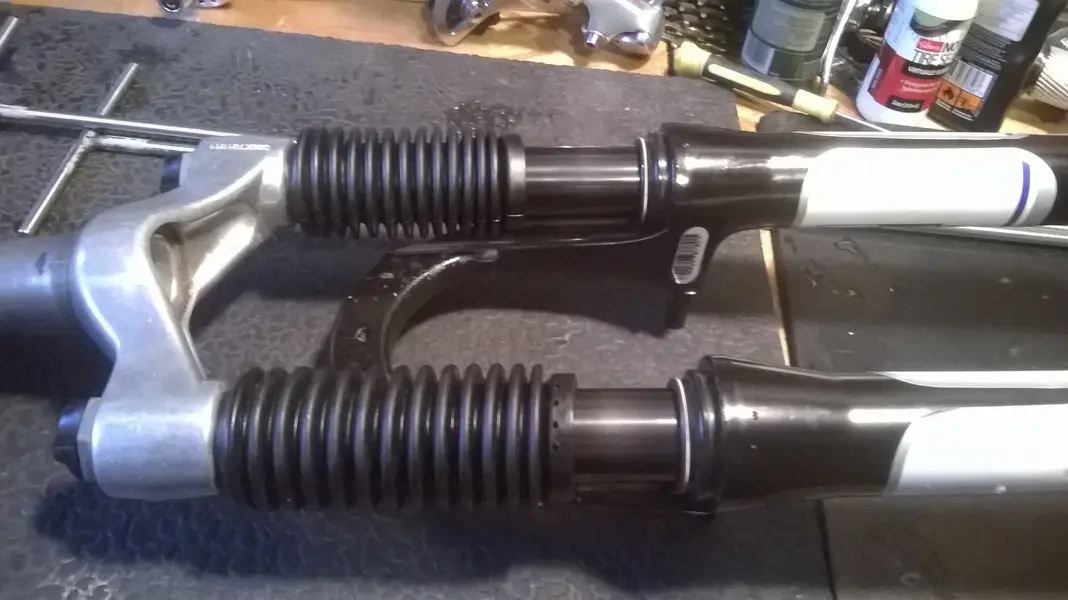 WP_20250211_059.jpg