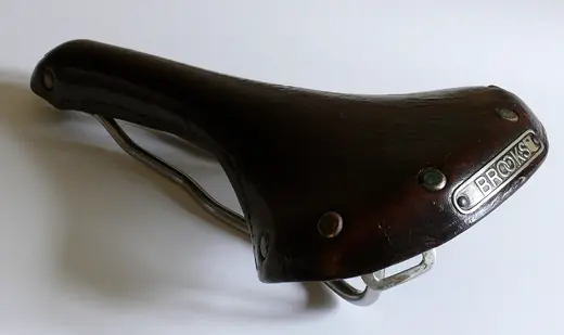 B.57-CHAMPION-SWALLOW.webp