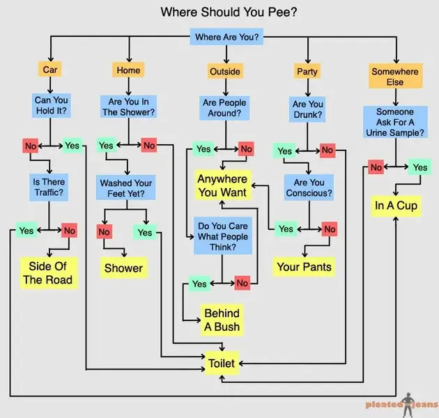 should-you-pee-flow-chart.webp