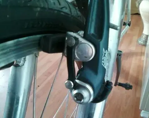 Photo-0052_e1.webp