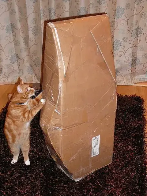 box.webp