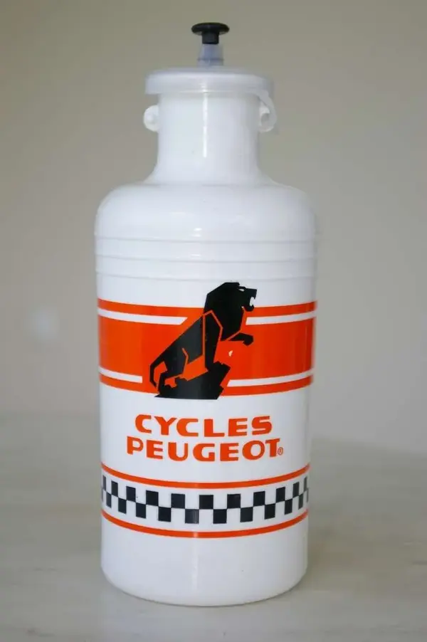 IMGP4207.webp
