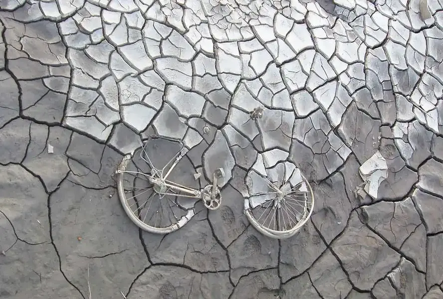 Cracking Mud.webp