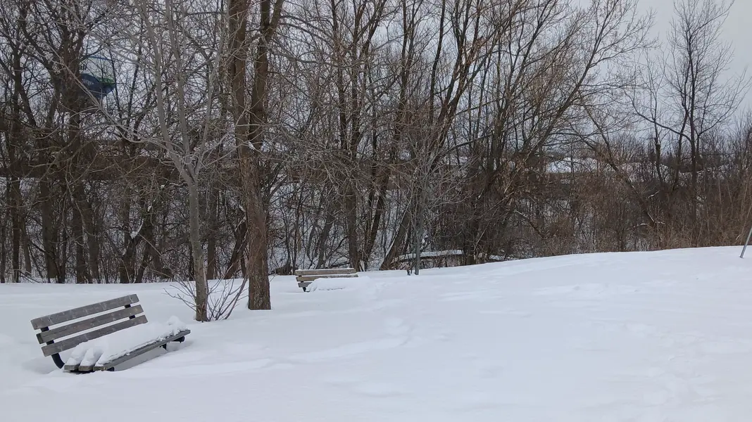 20250215_144648~2.webp