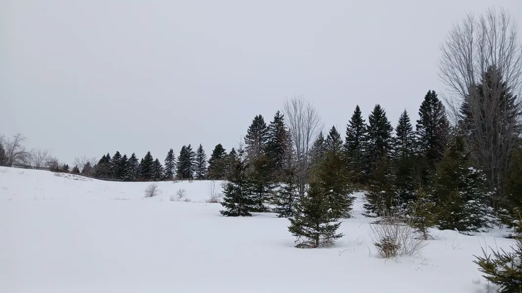 20250215_144911.webp