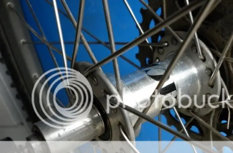 17-02-2025_16-46-05.webp
