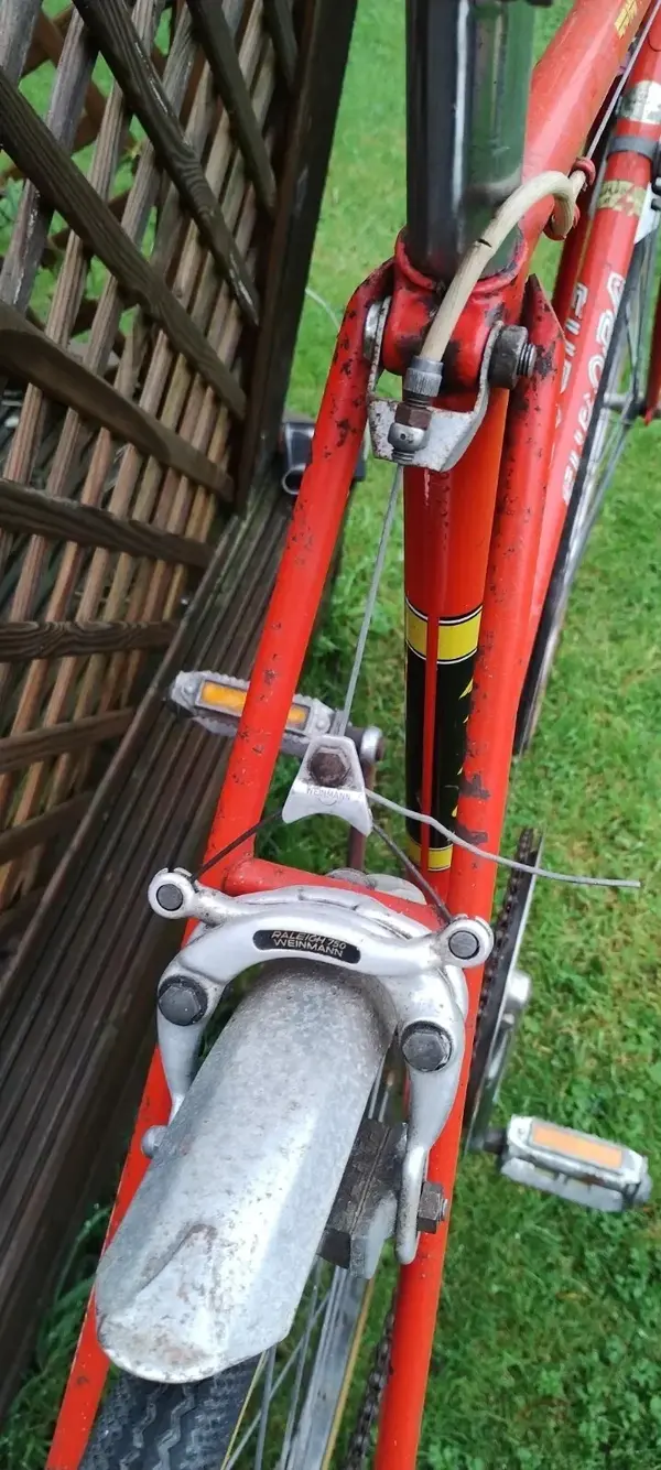 RALEIGH EUROPA 4.webp