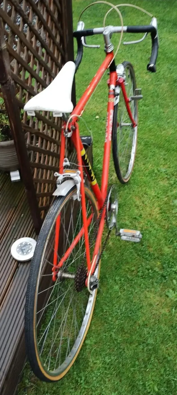 RALEIGH EUROPA 5.webp