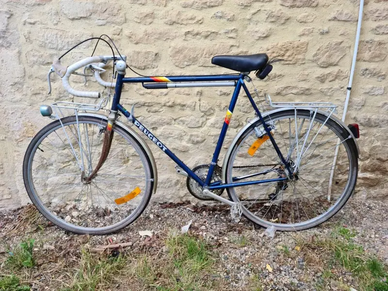 peugeot anjou13.webp