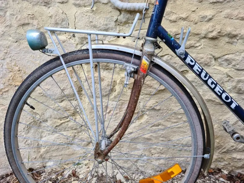 peugeot anjou14.webp