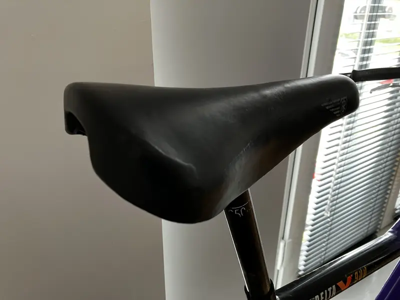 Saddle2.webp
