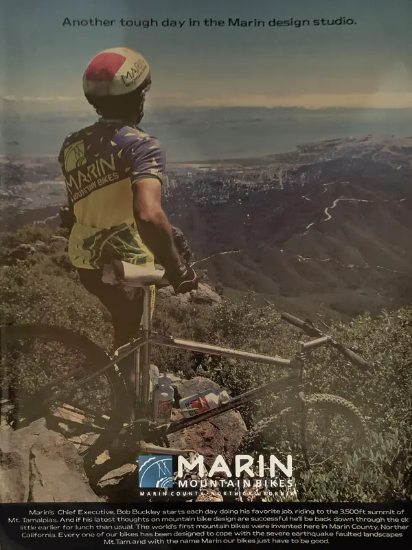 Marin Ad day in design studio.webp