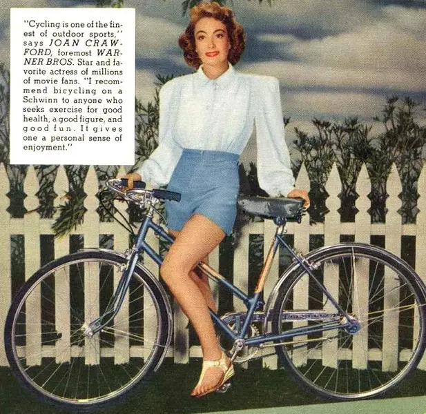 46schwinn21-3340163029.webp