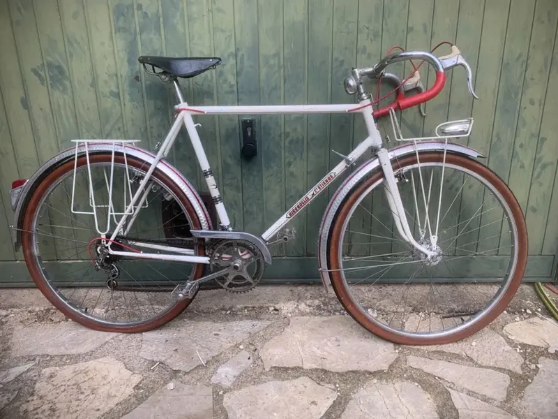 hirondelle1.webp