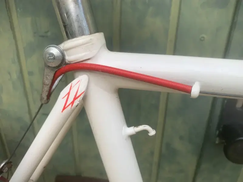 hirondelle3.webp