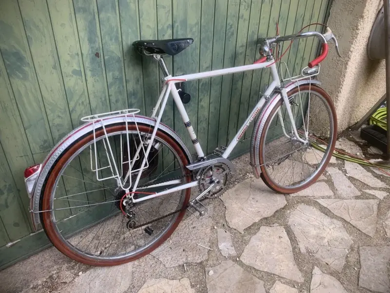hirondelle5.webp