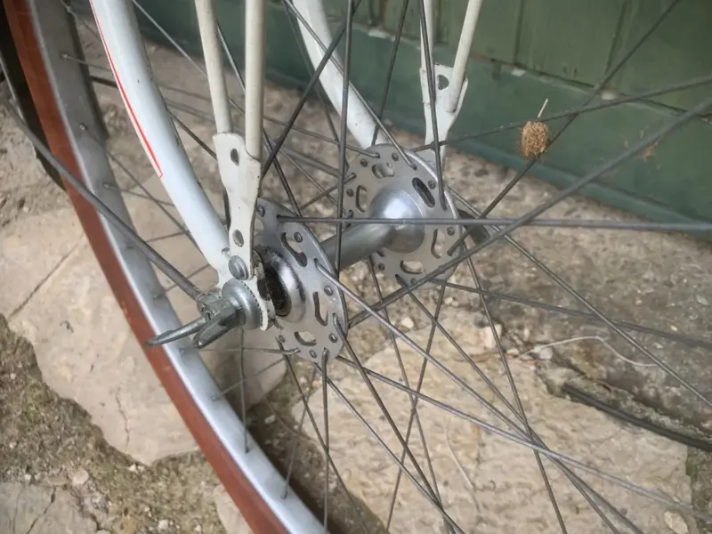 hirondelle6.webp