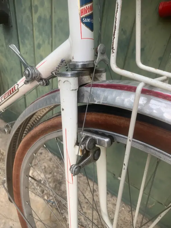 hirondelle7.webp