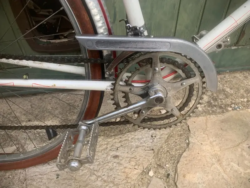 hirondelle9.webp