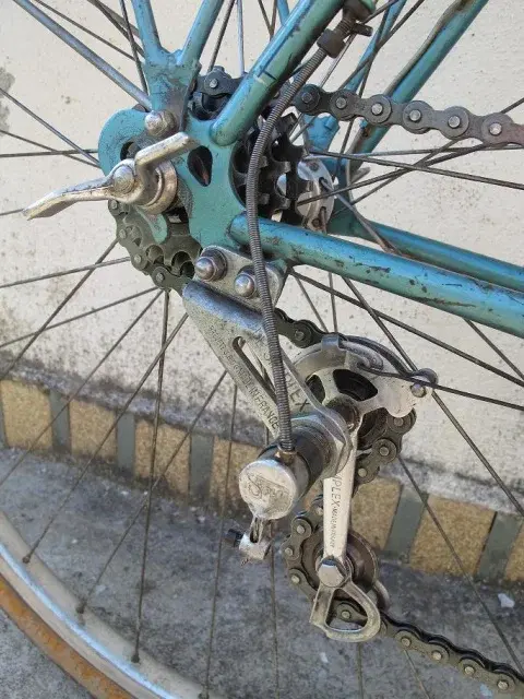 griffon mid 50s10.webp
