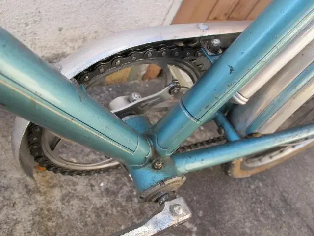 griffon mid 50s14.webp