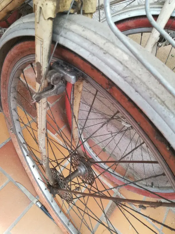 ruche3.webp