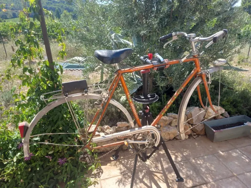1981 PX40M 2.webp