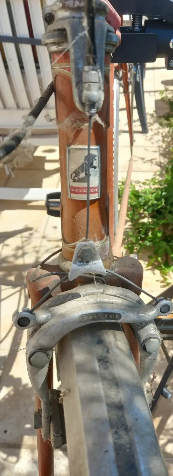 1981 PX40M 4.webp