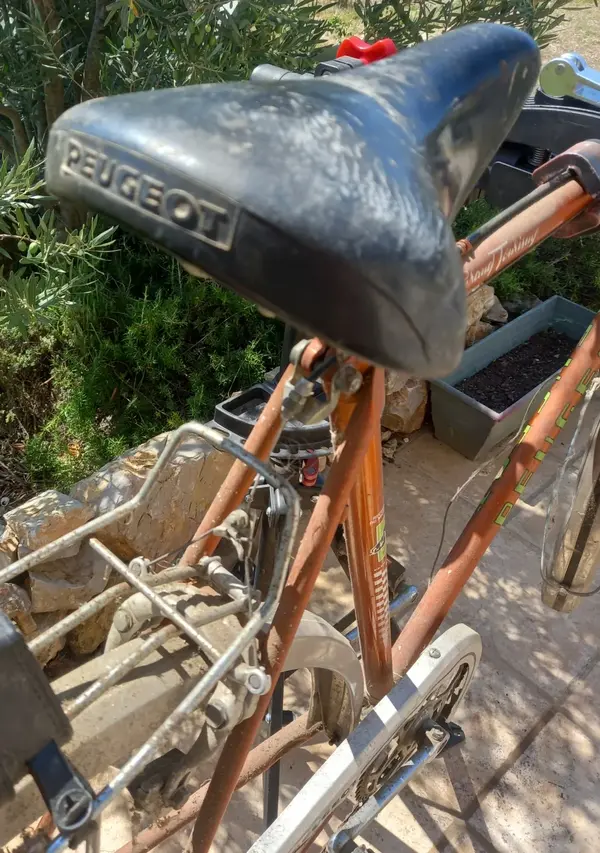1981 PX40M 5.webp
