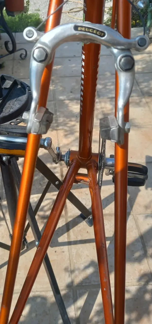 1981 PX40M 13.webp