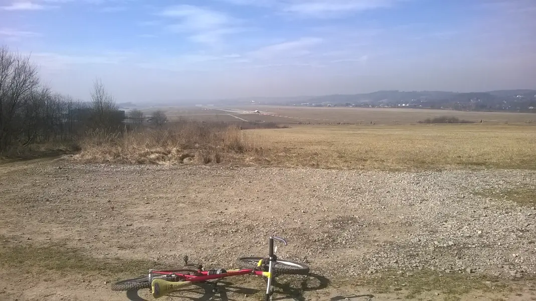 WP_20250309_003.webp