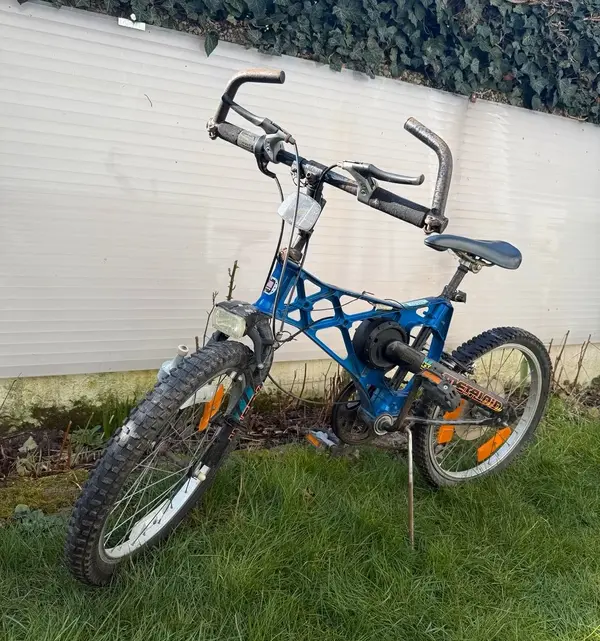 BMX11.webp