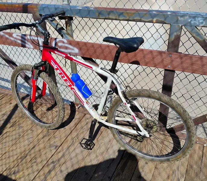trek 11.webp