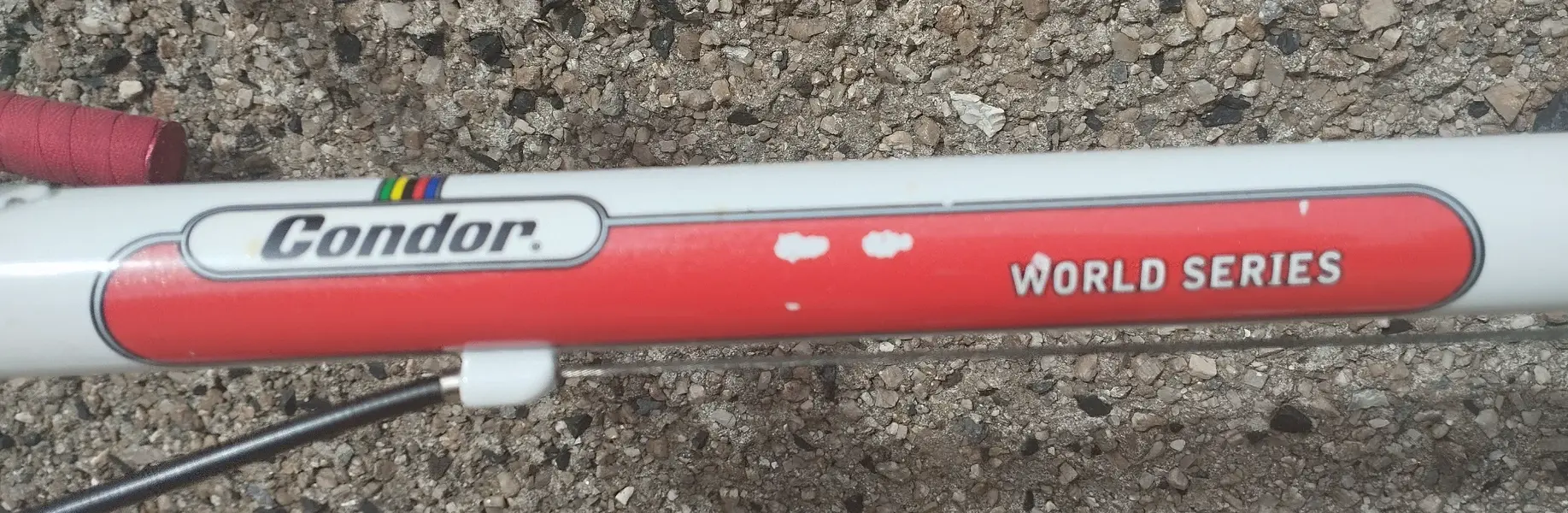 c14.webp