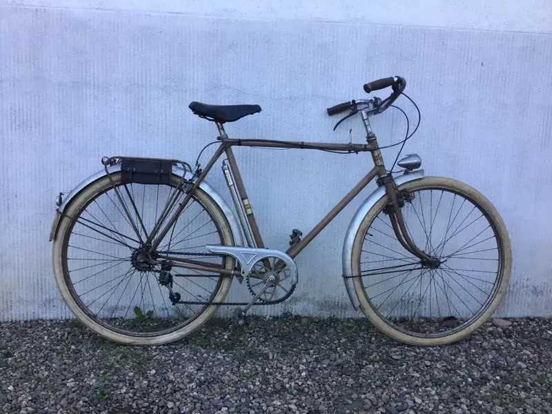 1950salcyon1.webp