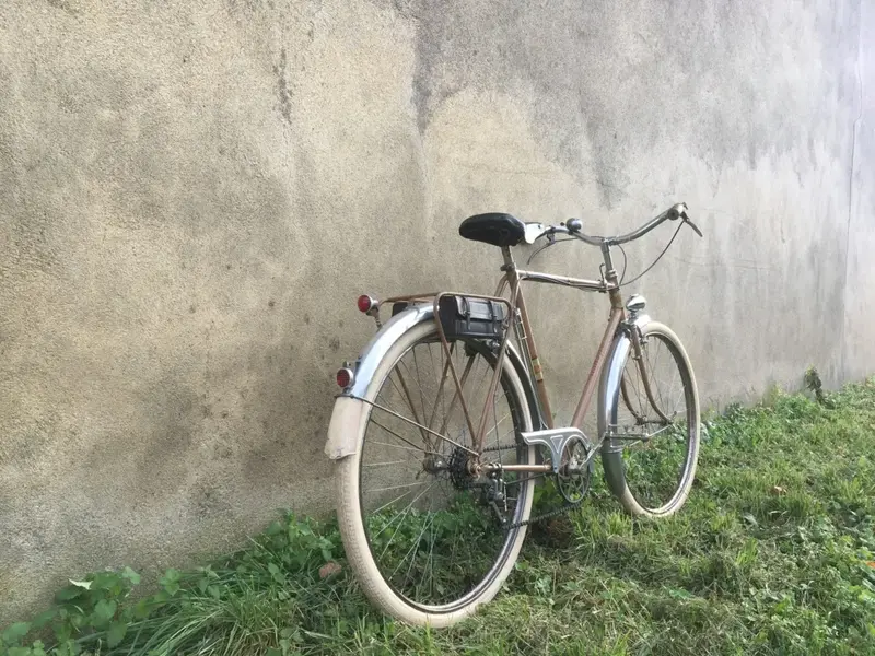 1950salcyon14.webp