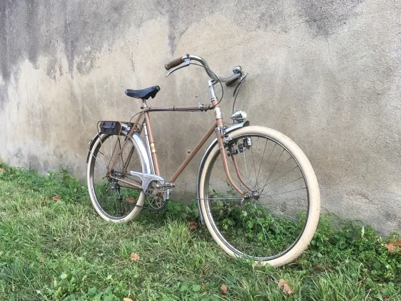 1950salcyon15.webp
