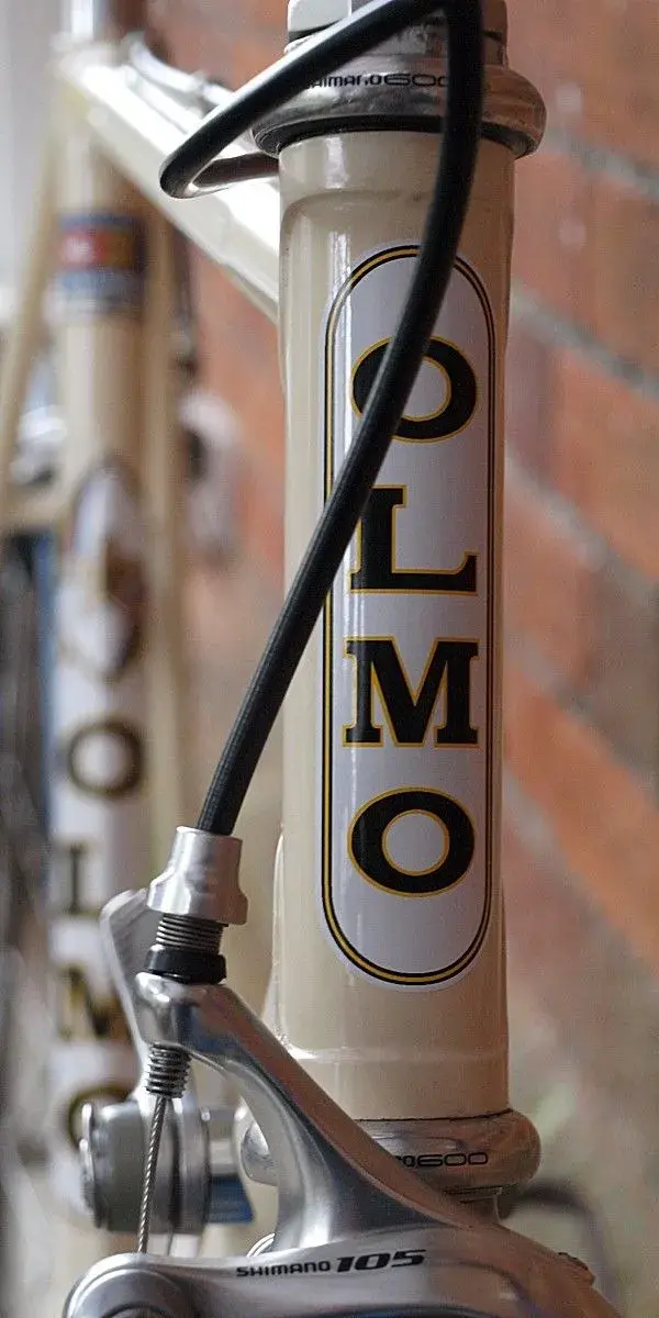 Olmo 6.webp