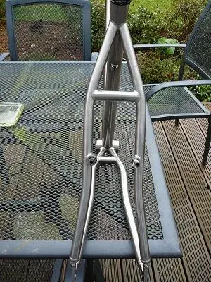Mongoose pro titanium online