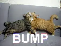 bump.webp